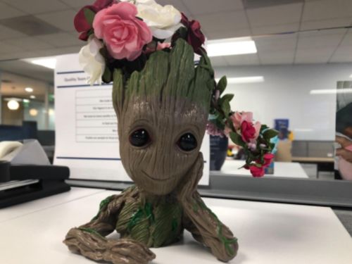 Groot Man Planter Pot photo review