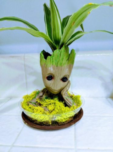 Groot Man Planter Pot photo review