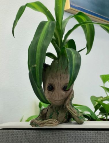 Groot Man Planter Pot photo review