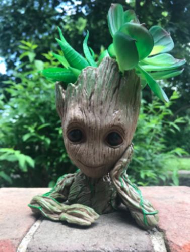 Groot Man Planter Pot photo review