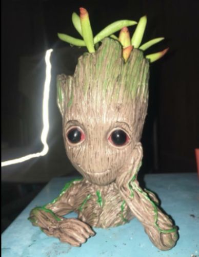 Groot Man Planter Pot photo review