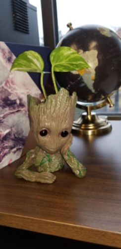 Groot Man Planter Pot photo review