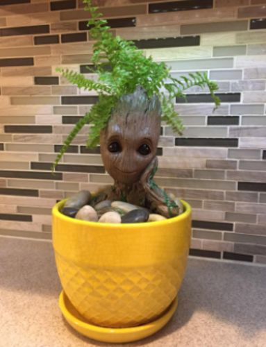 Groot Man Planter Pot photo review