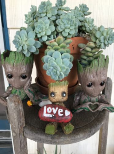 Groot Man Planter Pot photo review