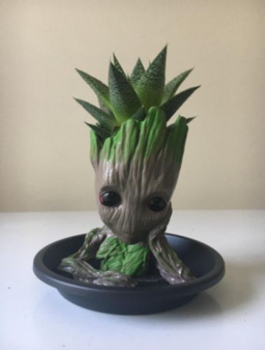 Groot Man Planter Pot photo review