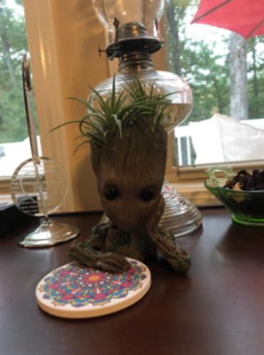 Groot Man Planter Pot photo review