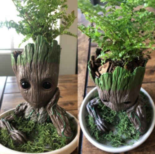 Groot Man Planter Pot photo review