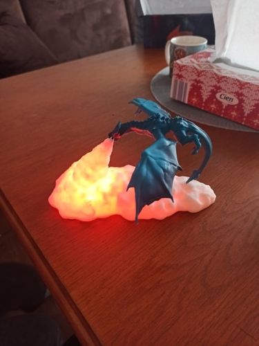 3D Fire Breathing Dragon Night Lamp photo review