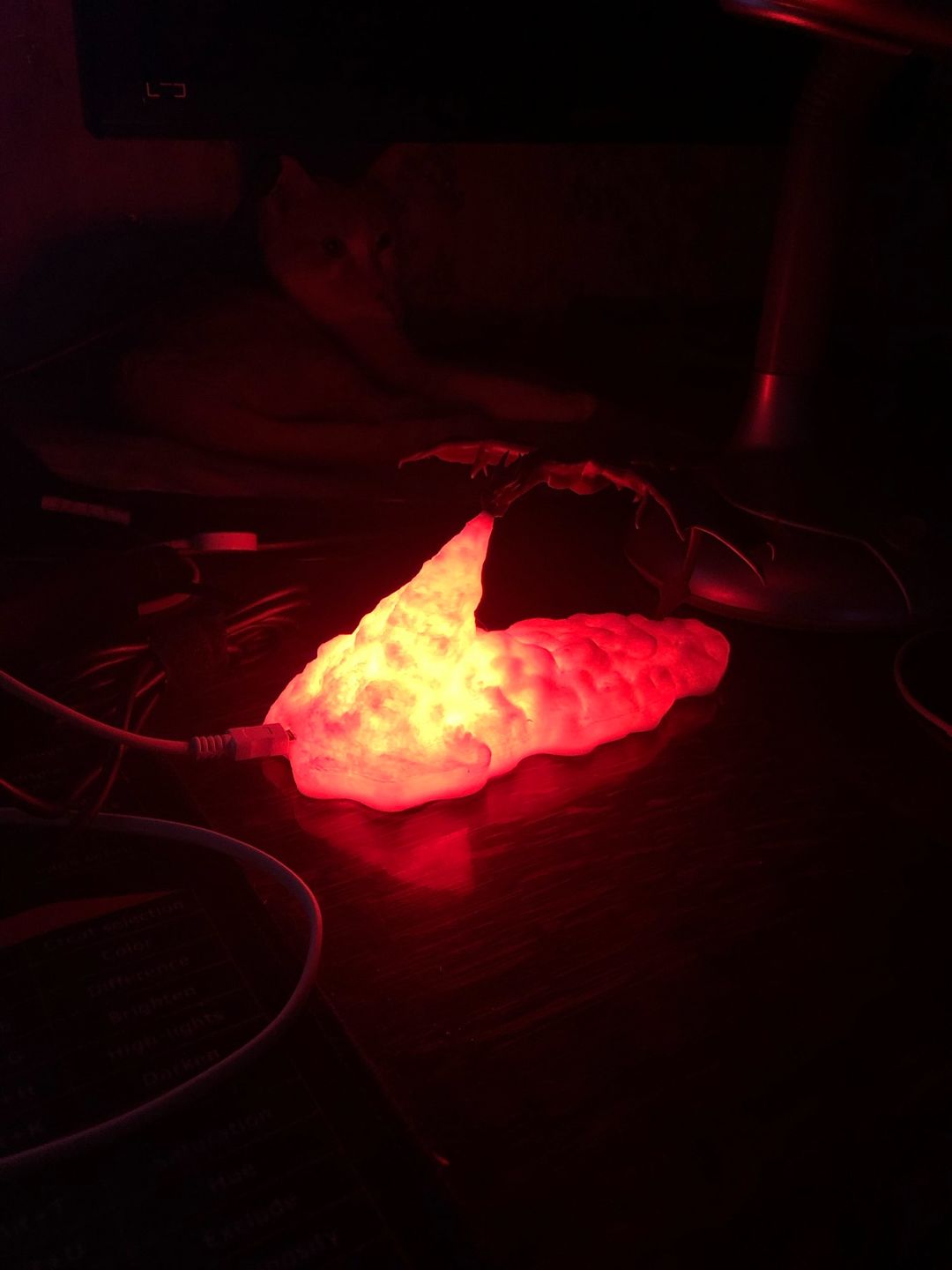 3D Fire Breathing Dragon Night Lamp photo review