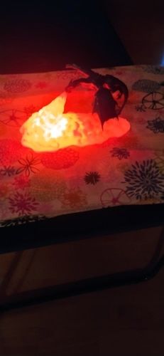 3D Fire Breathing Dragon Night Lamp photo review