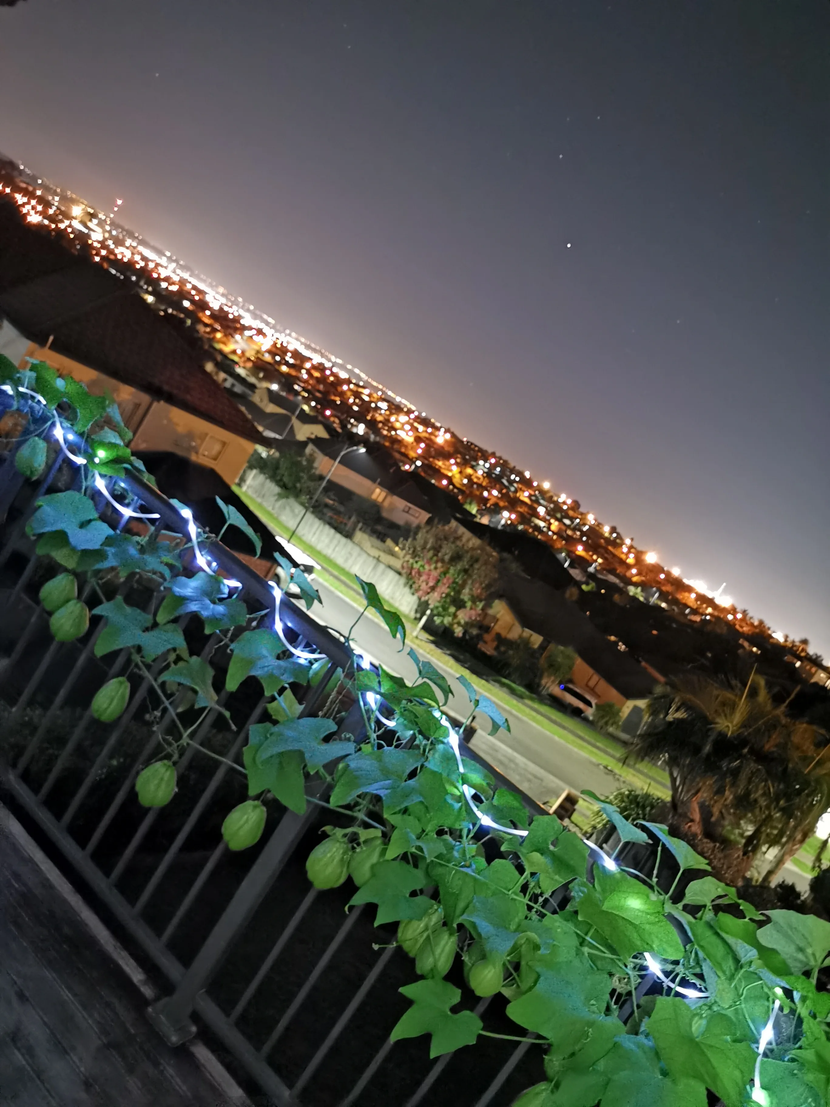 40ft Solar Garden Pathway Light Strips photo review