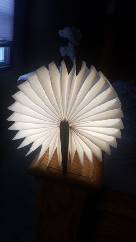 Foldable Wooden LED Light photo review