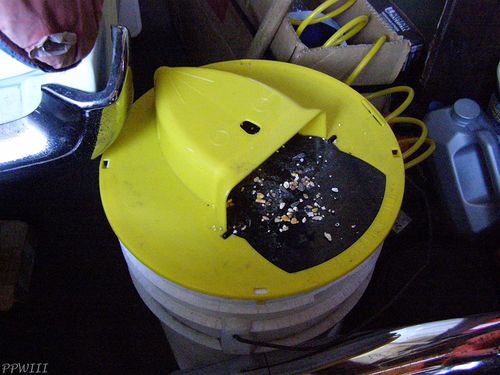 Automatic Mouse Trap Bucket for House photo review