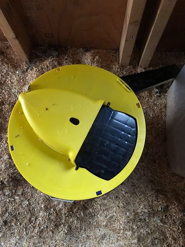 Automatic Mouse Trap Bucket for House photo review