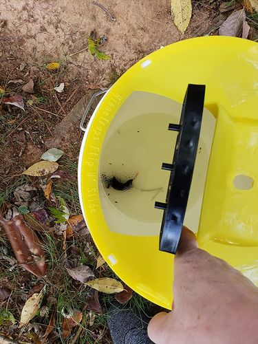 Automatic Mouse Trap Bucket for House photo review