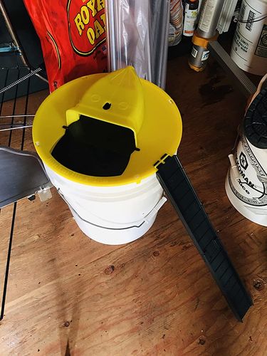 Automatic Mouse Trap Bucket for House photo review