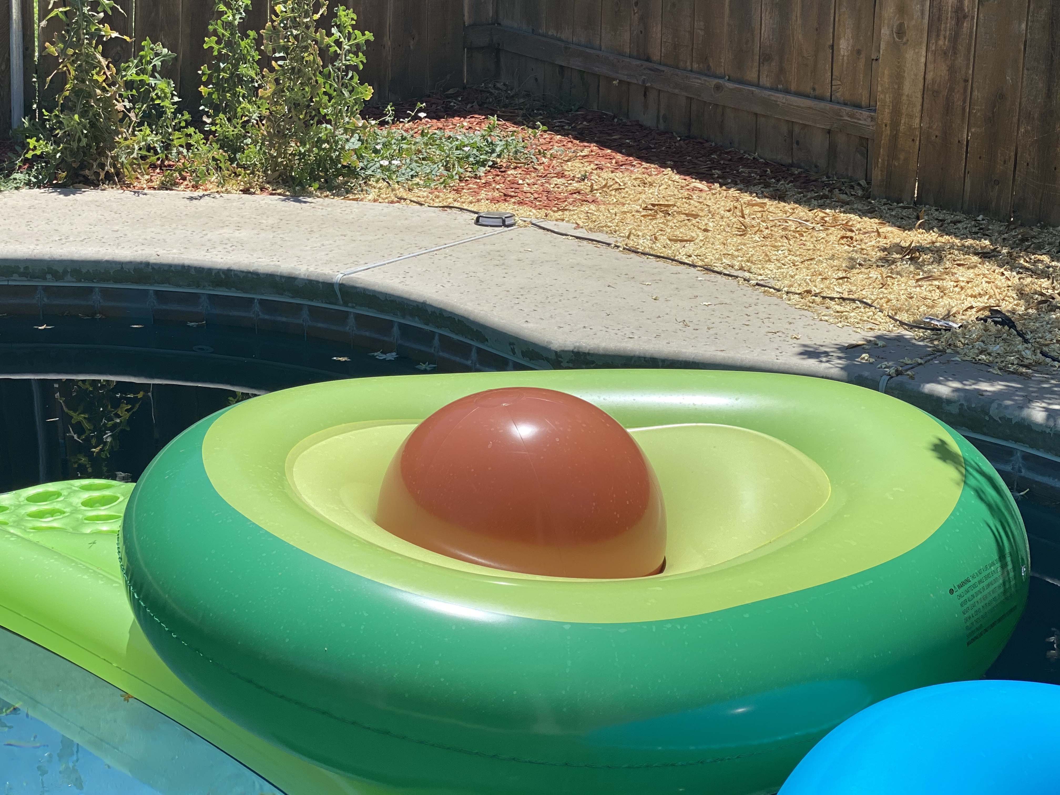 Avocado Inflatable Swimming Ring Pool Float photo review