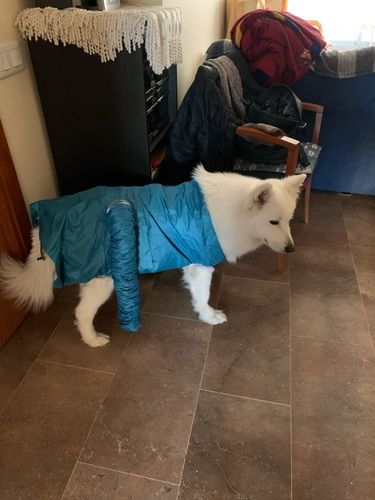 Dog Drying Bag photo review