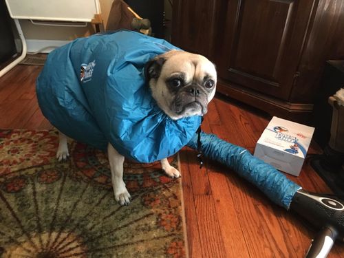 Dog Drying Bag photo review