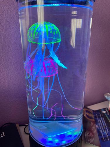 Bedside Hypnotic Jellyfish Lamp Aquarium photo review