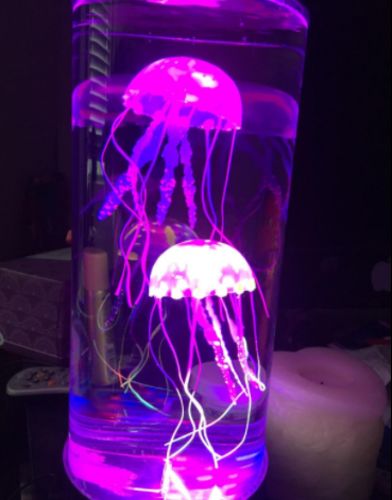 Bedside Hypnotic Jellyfish Lamp Aquarium photo review