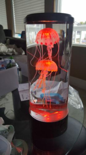 Bedside Hypnotic Jellyfish Lamp Aquarium photo review