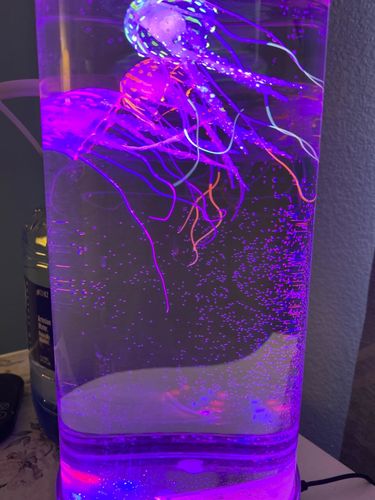 Bedside Hypnotic Jellyfish Lamp Aquarium photo review