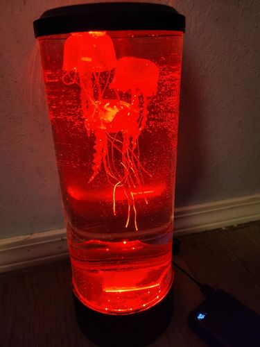 Bedside Hypnotic Jellyfish Lamp Aquarium photo review