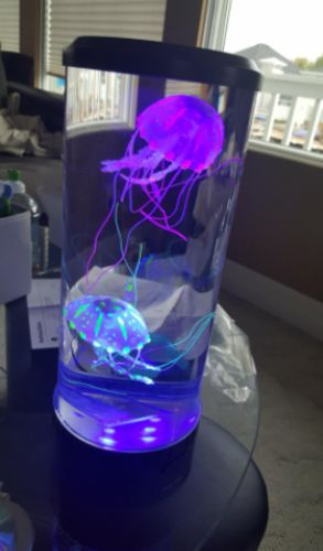 Bedside Hypnotic Jellyfish Lamp Aquarium photo review