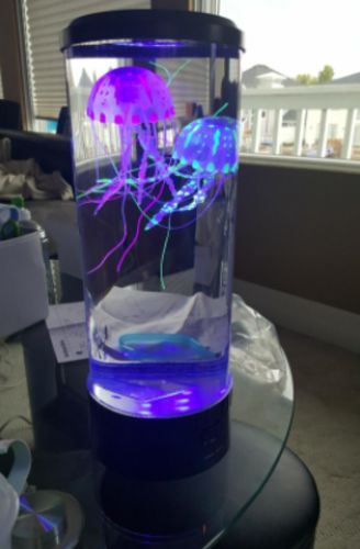 Bedside Hypnotic Jellyfish Lamp Aquarium photo review