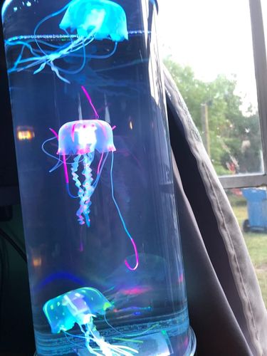 Bedside Hypnotic Jellyfish Lamp Aquarium photo review