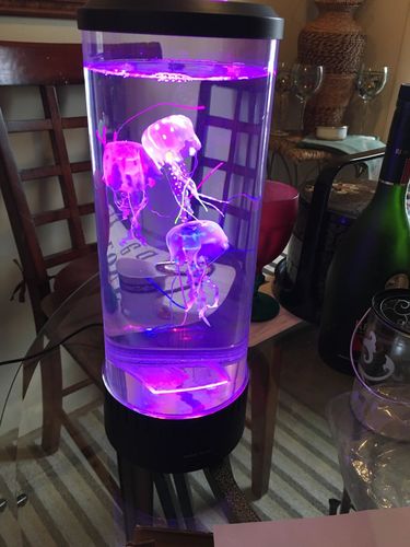 Bedside Hypnotic Jellyfish Lamp Aquarium photo review