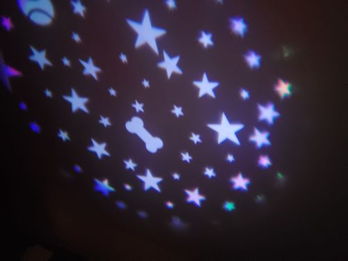 Bellydreams Stuffed Animal Night Light photo review