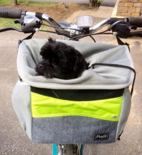 Dog Basket For Bike Pet Bicycle Carrier For Puppy Or Small Breeds photo review