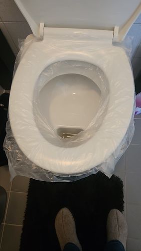 Biodegradable Disposable Toilet Seat Cover (10/50Pcs) photo review