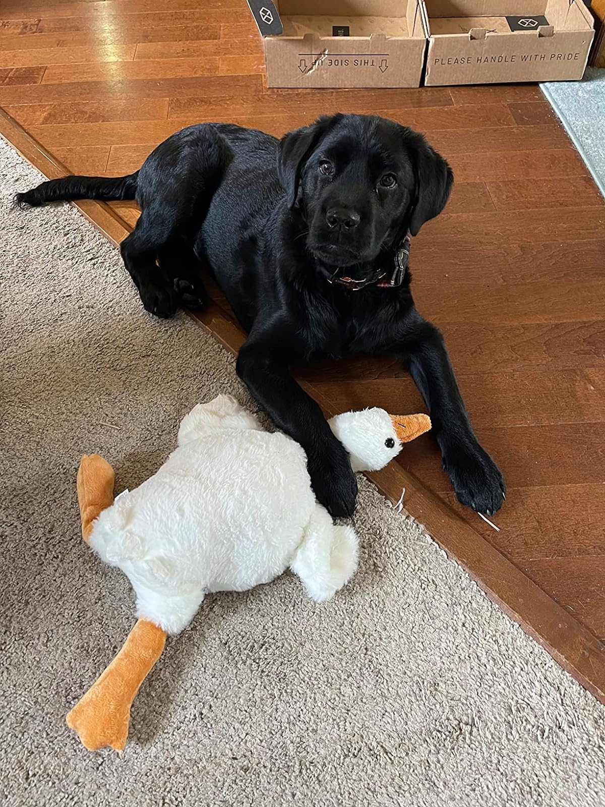 Bruce The Goose Giant Weighted Plush Toy photo review