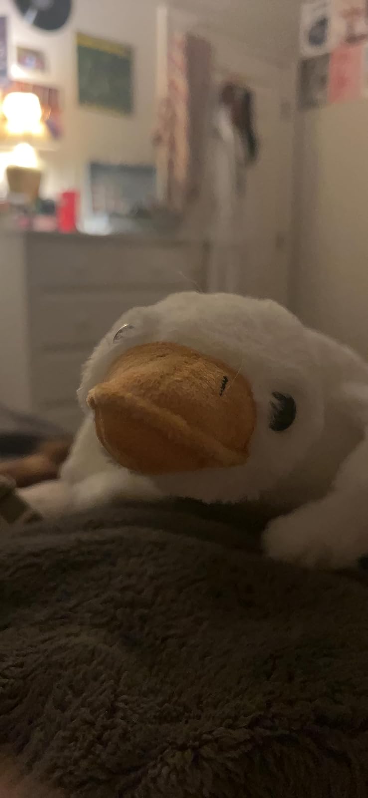 Bruce The Goose Giant Weighted Plush Toy photo review