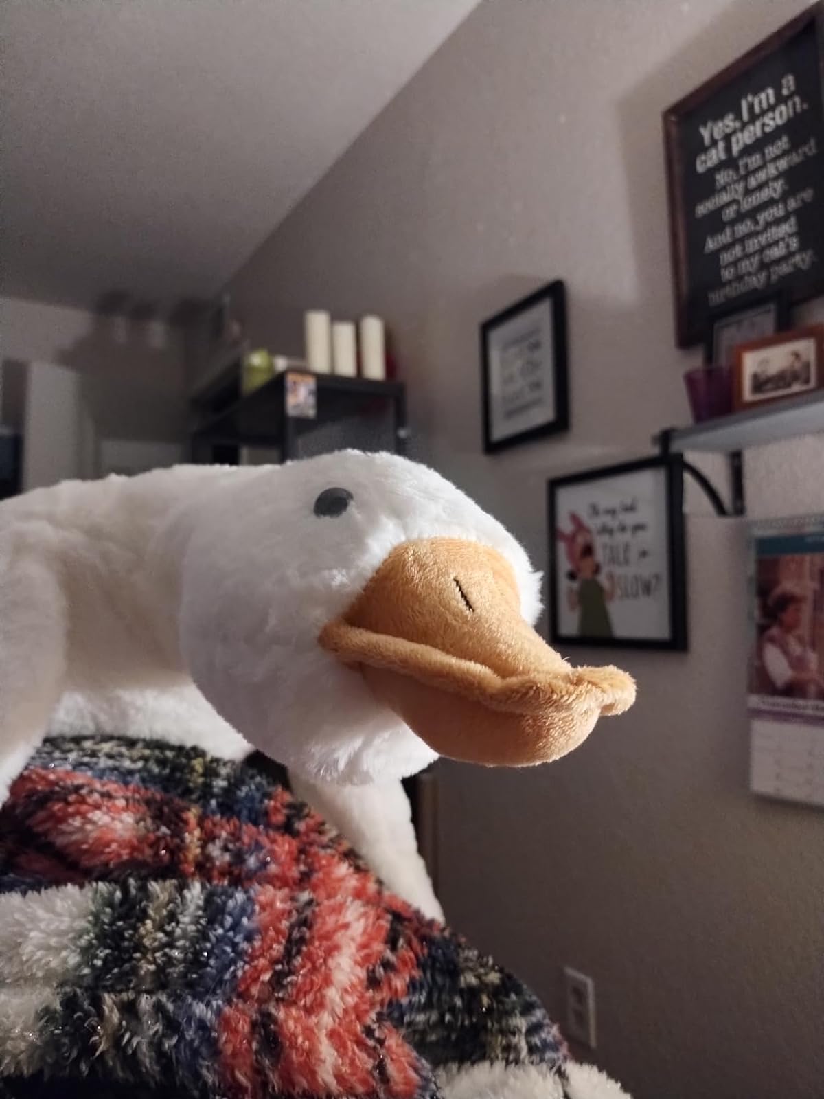 Bruce The Goose Giant Weighted Plush Toy photo review