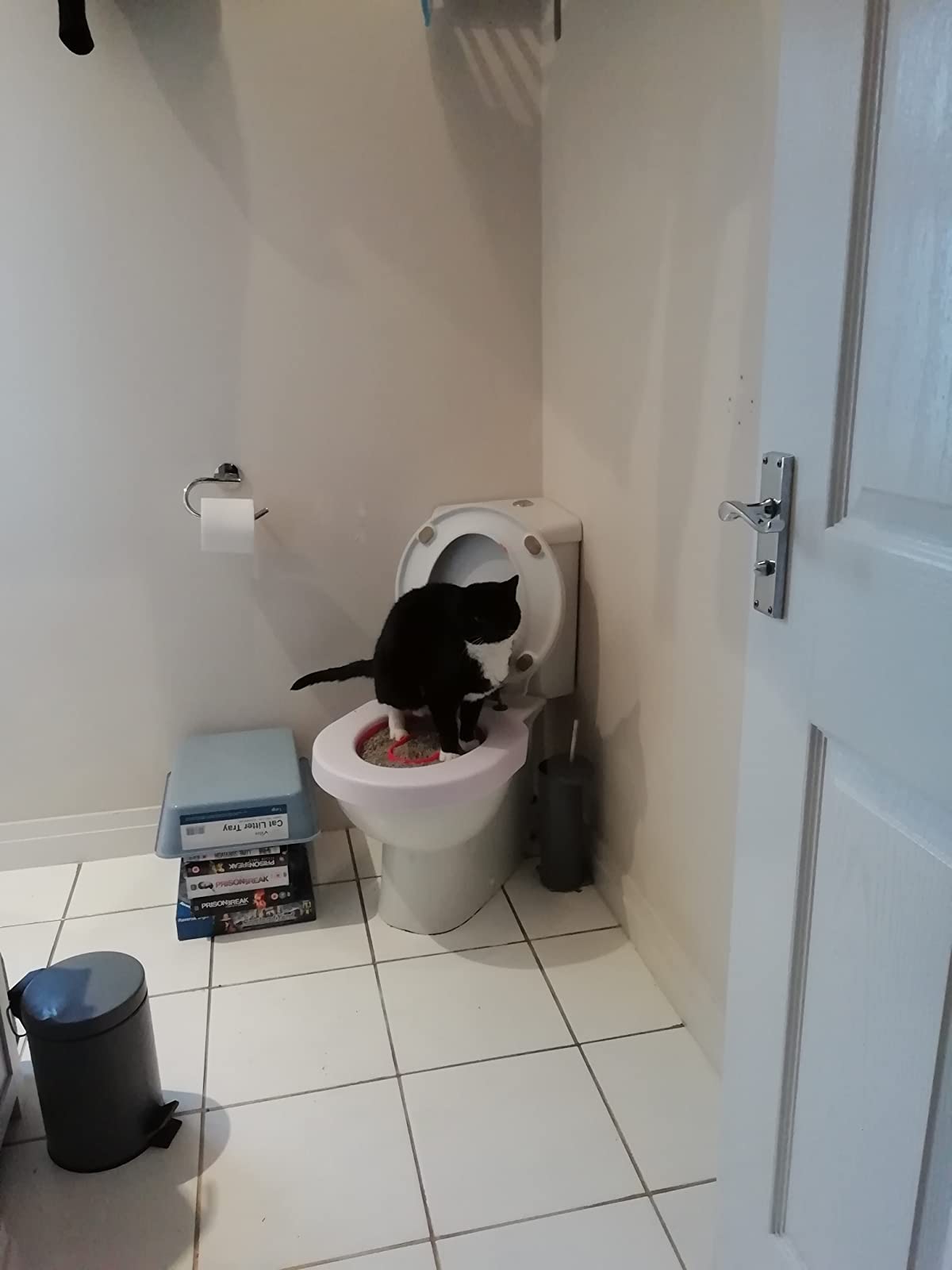 Cat Toilet Training Kit photo review