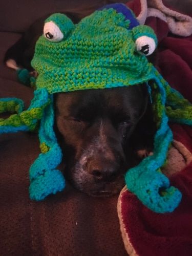 Christmas Crochet Octopus Hat photo review