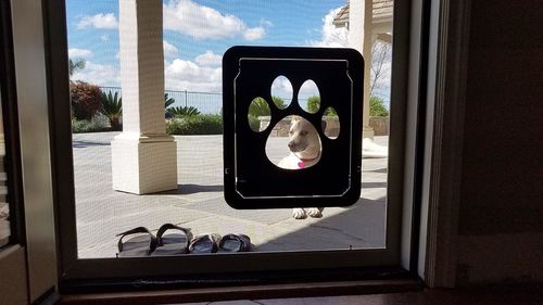 Controllable Access Pet Door photo review