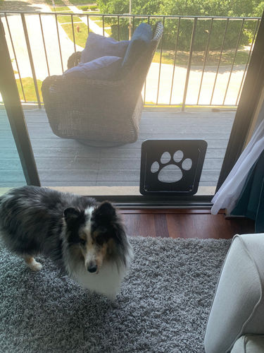 Controllable Access Pet Door photo review