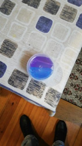 Crystal Clear Slime Toy photo review