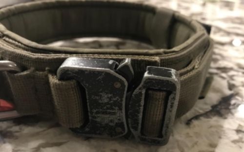 Tactical Dog Collar photo review