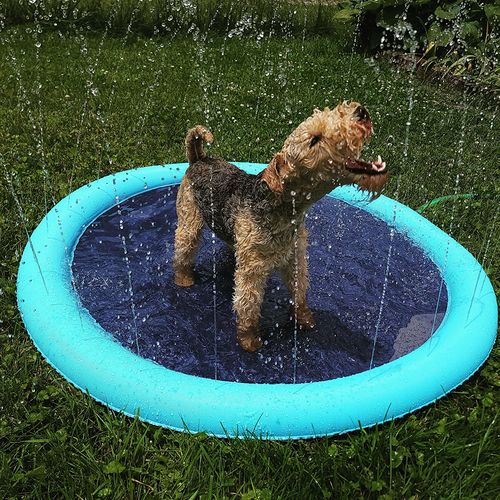 Dog Splash Sprinkler Pad photo review