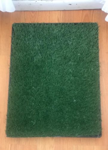 Dog Toilet Mat Indoor Restroom Training Grass Potty Pad photo review