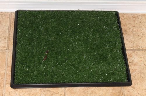 Dog Toilet Mat Indoor Restroom Training Grass Potty Pad photo review