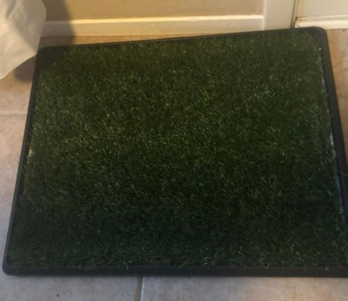 Dog Toilet Mat Indoor Restroom Training Grass Potty Pad photo review