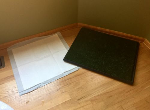 Dog Toilet Mat Indoor Restroom Training Grass Potty Pad photo review