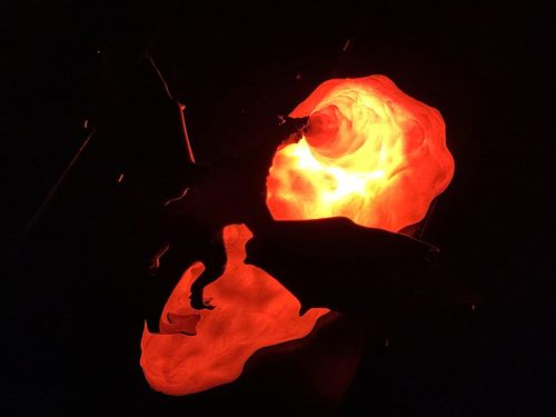 Dragon Night Light - 3D Printing Fire Breathing Dragon Lamp photo review